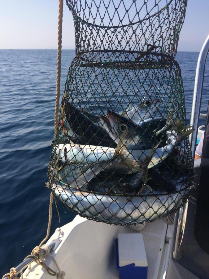 Marina Les Pieds Dans L Eau Leilighet Le Barcarès Eksteriør bilde